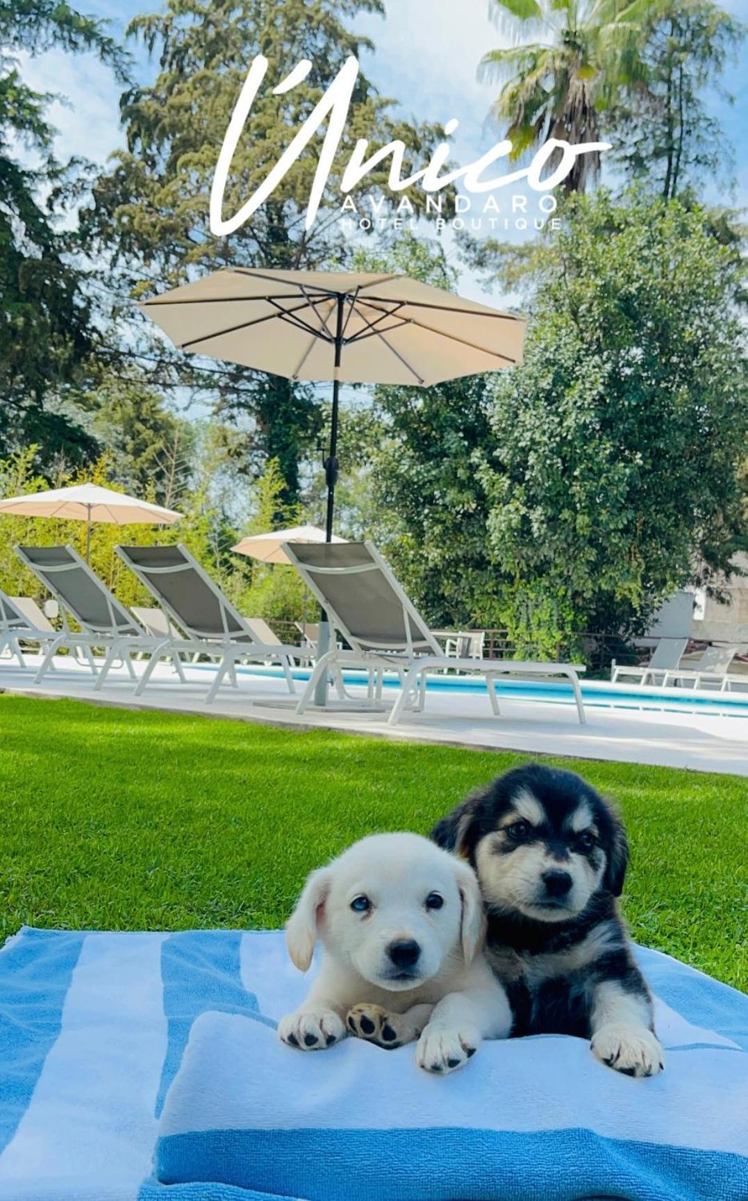 Hotel Boutique Unico Avandaro Valle de Bravo Exteriör bild